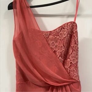 NWT Soft Peachy Rose Chiffon/ Lace Dress